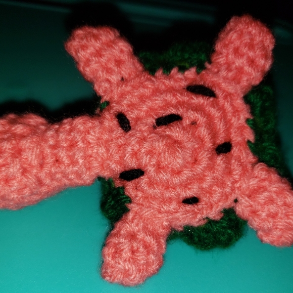Crochet Watermelon Turtle Amigurumi - Picture 4 of 5